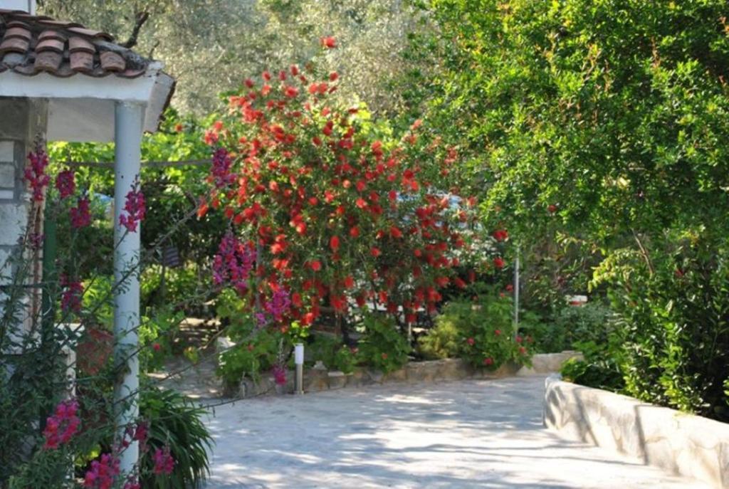 Stelios Studios Megali Ammos  Bagian luar foto